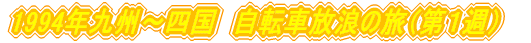 1994NB`l@]ԕQ̗